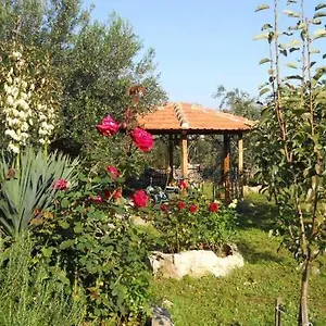 Apartment Branimir, Zadar